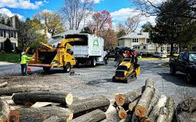 Leaf Removal in Irmo, SC