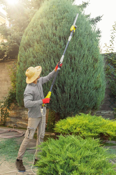 Best Commercial Tree Services  in Irmo, SC